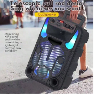 Portable Bluetooth PA Speaker System - 300W