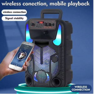 Portable Bluetooth PA Speaker System - 300W