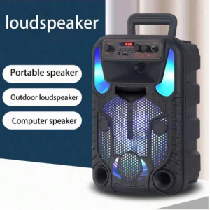 Portable Bluetooth PA Speaker System - 300W