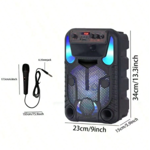 Portable Bluetooth PA Speaker System - 300W