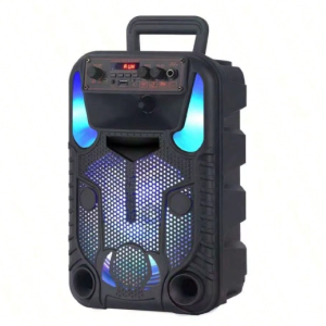 Portable Bluetooth PA Speaker System - 300W