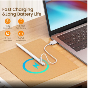 Stylus Pen for iPad(2018-2025)- Fast Charge with Tilt Sensitivity & Palm Rejection for iPad 11/10/9/8/7/6th