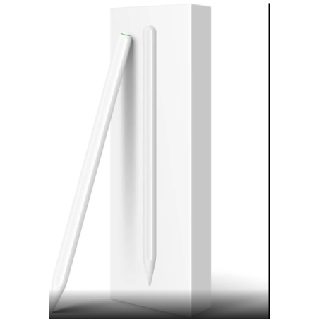 iPad Pencil 2nd Generation with Magnetic Wireless Charging, 2X Fast Charge for Apple Ipad, Stylus Pen