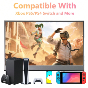 FLYZUNI 15.6 Inch Portable Monitor,1080P USB-C