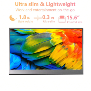 FLYZUNI 15.6 Inch Portable Monitor,1080P USB-C