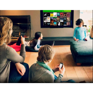 iliconDust HDHomeRun Flex 4K ATSC 3.0 NextGen TV: 2/4 Tuners HDFX-4K