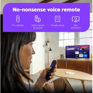 Roku Streaming Stick Plus 2025