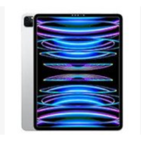 Apple iPad Pro 12.9 (2022 / 2021 / 2020 / 2018)