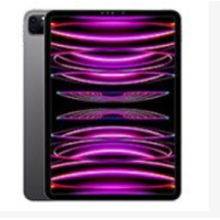 Apple iPad Pro 11 (2022 / 2021 / 2020)