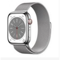 Apple Watch Series 9 / 8 / 7