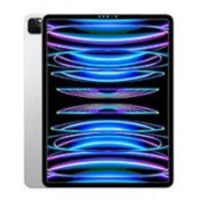 Apple iPad Pro 12.9 (2022 / 2021 / 2020 / 2018)