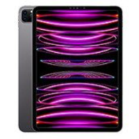 Apple iPad Pro 11 (2022 / 2021 / 2020)