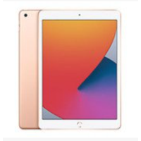Apple iPad 10.2 8th / 7th Gen (2021 / 2020 / 2019)