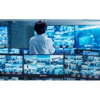 Surveillance Security Systems