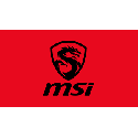 MSI