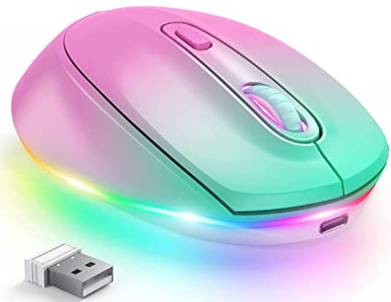 24g Wireless Mouse 1600dpi Ergonomic Rechargeable - CP010034