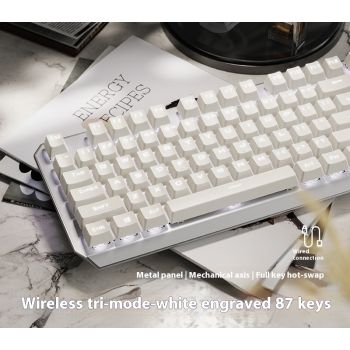 Mechanical Keyboard 87 Key Wired E-sports Game Good-looking Side Engraving Computer Office - Silver White Three Mold