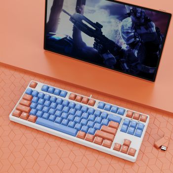 87 Key Wired Game Hot Plug Two Colors Mechanical Keyboard - Color 10