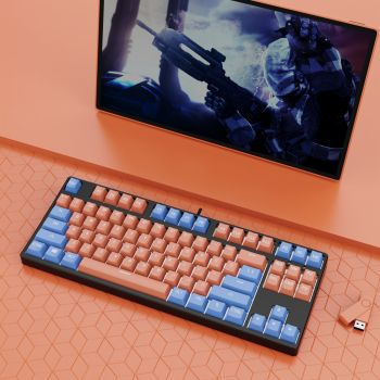 87 Key Wired Game Hot Plug Two Colors Mechanical Keyboard - Color 13
