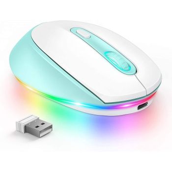 24g Wireless Mouse 1600dpi Ergonomic Rechargeable - CP008558