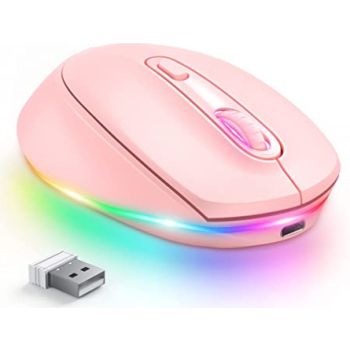 24g Wireless Mouse 1600dpi Ergonomic Rechargeable - CP009529