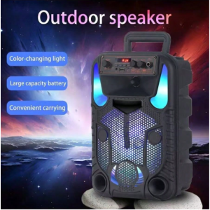 Portable Bluetooth PA Speaker System - 300W
