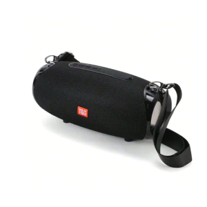 T&G 10W High Power Wireless Portable Outdoor Bluetooth